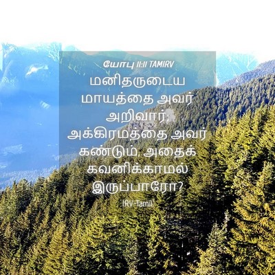 Picture 04 - யோபு 11:11 TAMIRV - மனிதருடைய மாயத்தை - Bible Verse Picture