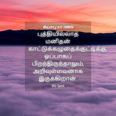 Picture 04 - யோபு 11:12 TAMIRV - புத்தியில்லாத - Bible Verse Picture
