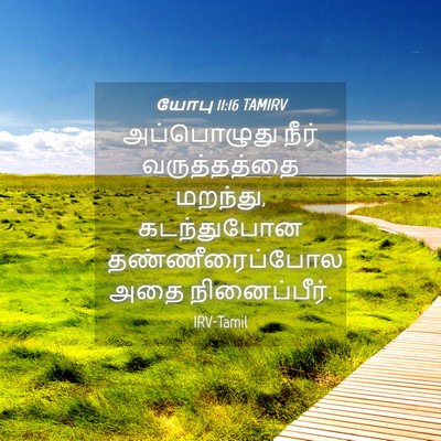 Picture 04 - யோபு 11:16 TAMIRV - அப்பொழுது நீர் - Bible Verse Picture