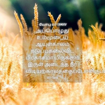 Picture 04 - யோபு 11:17 TAMIRV - அப்பொழுது - Bible Verse Picture