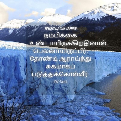 Picture 04 - யோபு 11:18 TAMIRV - நம்பிக்கை - Bible Verse Picture