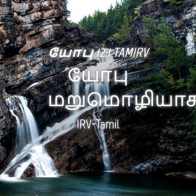 Picture 04 - யோபு 12:1 TAMIRV - யோபு - Bible Verse Picture