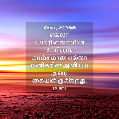 Picture 04 - யோபு 12:10 TAMIRV - எல்லா - Bible Verse Picture