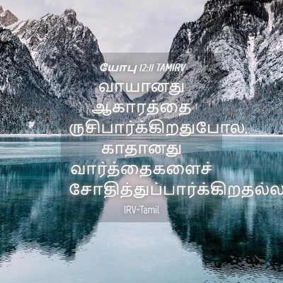 Picture 04 - யோபு 12:11 TAMIRV - வாயானது ஆகாரத்தை - Bible Verse Picture