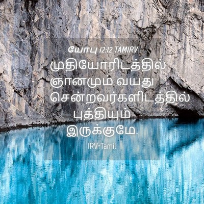 Picture 04 - யோபு 12:12 TAMIRV - முதியோரிடத்தில் - Bible Verse Picture