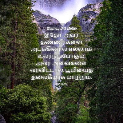 Picture 04 - யோபு 12:15 TAMIRV - இதோ, அவர் - Bible Verse Picture