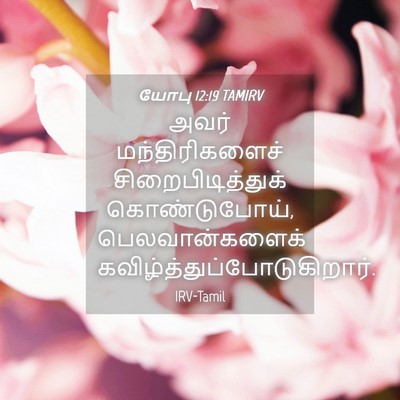 Picture 04 - யோபு 12:19 TAMIRV - அவர் மந்திரிகளைச் - Bible Verse Picture