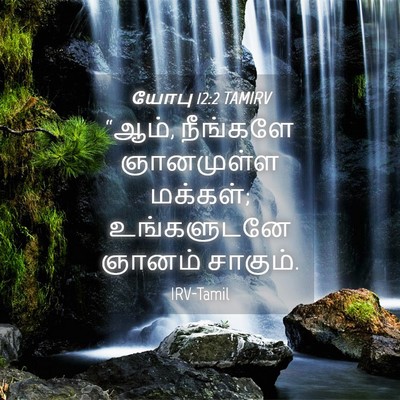 Picture 04 - யோபு 12:2 TAMIRV - “ஆம், நீங்களே - Bible Verse Picture
