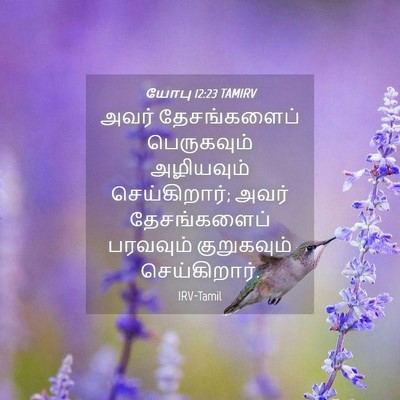 Picture 04 - யோபு 12:23 TAMIRV - அவர் தேசங்களைப் - Bible Verse Picture