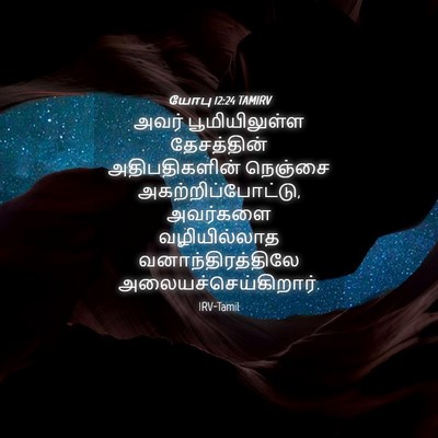 Picture 04 - யோபு 12:24 TAMIRV - அவர் பூமியிலுள்ள - Bible Verse Picture