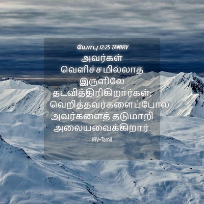 Picture 04 - யோபு 12:25 TAMIRV - அவர்கள் - Bible Verse Picture