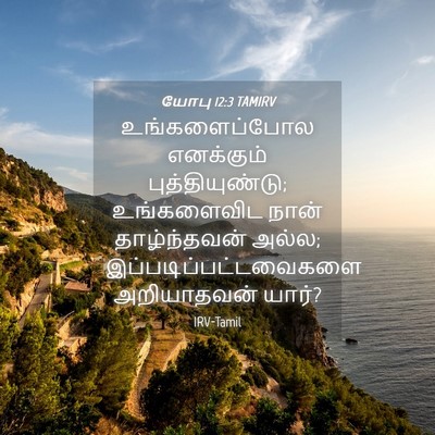 Picture 04 - யோபு 12:3 TAMIRV - உங்களைப்போல - Bible Verse Picture