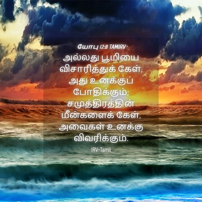 Picture 04 - யோபு 12:8 TAMIRV - அல்லது பூமியை - Bible Verse Picture