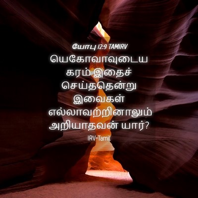 Picture 04 - யோபு 12:9 TAMIRV - யெகோவாவுடைய கரம் - Bible Verse Picture