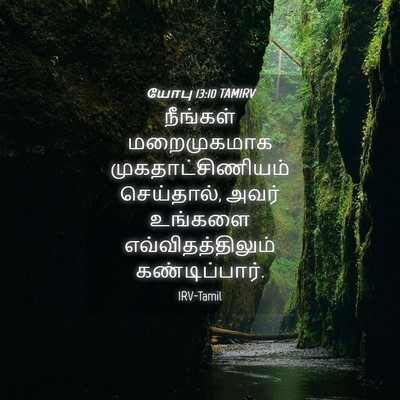 Picture 04 - யோபு 13:10 TAMIRV - நீங்கள் மறைமுகமாக - Bible Verse Picture