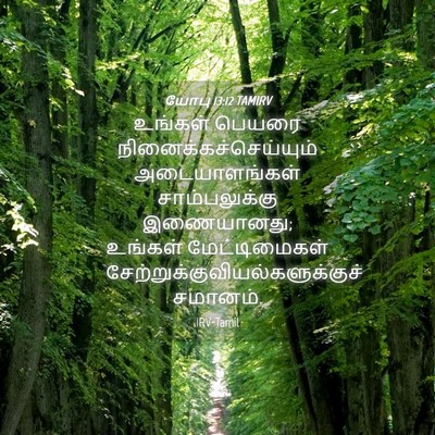 Picture 04 - யோபு 13:12 TAMIRV - உங்கள் பெயரை - Bible Verse Picture