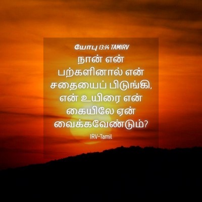 Picture 04 - யோபு 13:14 TAMIRV - நான் என் - Bible Verse Picture