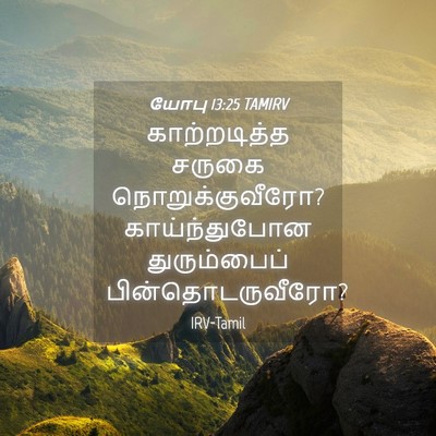 Picture 04 - யோபு 13:25 TAMIRV - காற்றடித்த சருகை - Bible Verse Picture