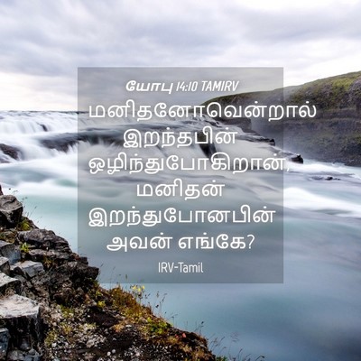 Picture 04 - யோபு 14:10 TAMIRV - மனிதனோவென்றால் - Bible Verse Picture