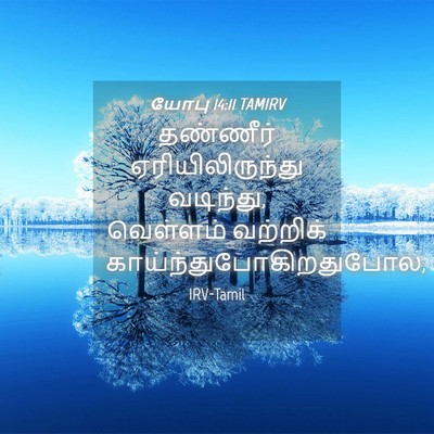 Picture 04 - யோபு 14:11 TAMIRV - தண்ணீர் - Bible Verse Picture