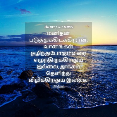 Picture 04 - யோபு 14:12 TAMIRV - மனிதன் - Bible Verse Picture