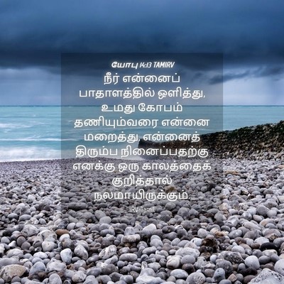 Picture 04 - யோபு 14:13 TAMIRV - நீர் என்னைப் - Bible Verse Picture