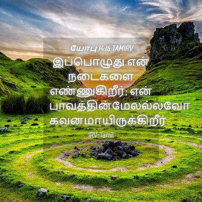 Picture 04 - யோபு 14:16 TAMIRV - இப்பொழுது என் - Bible Verse Picture