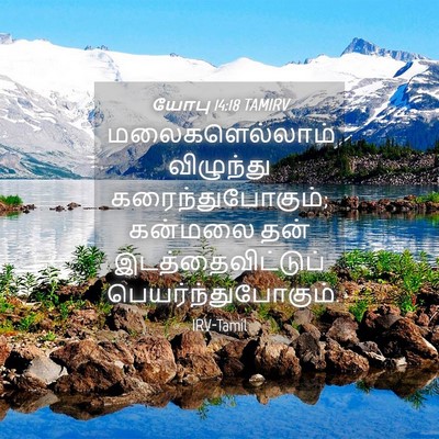 Picture 04 - யோபு 14:18 TAMIRV - மலைகளெல்லாம் - Bible Verse Picture