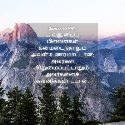 Picture 04 - யோபு 14:21 TAMIRV - அவனுடைய பிள்ளைகள் - Bible Verse Picture