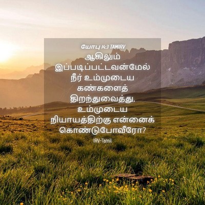 Picture 04 - யோபு 14:3 TAMIRV - ஆகிலும் - Bible Verse Picture