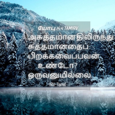 Picture 04 - யோபு 14:4 TAMIRV -  - Bible Verse Picture