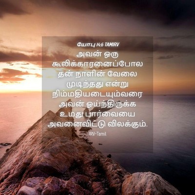 Picture 04 - யோபு 14:6 TAMIRV - அவன் ஒரு - Bible Verse Picture