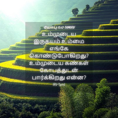 Picture 04 - யோபு 15:12 TAMIRV - உம்முடைய இருதயம் - Bible Verse Picture