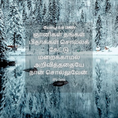 Picture 04 - யோபு 15:18 TAMIRV - ஞானிகள் தங்கள் - Bible Verse Picture