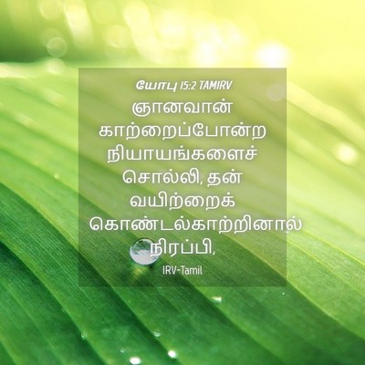 Picture 04 - யோபு 15:2 TAMIRV - ஞானவான் - Bible Verse Picture