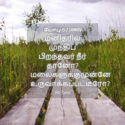 Picture 04 - யோபு 15:7 TAMIRV - மனிதரில் முந்திப் - Bible Verse Picture