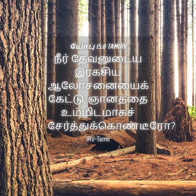Picture 04 - யோபு 15:8 TAMIRV - நீர் தேவனுடைய - Bible Verse Picture