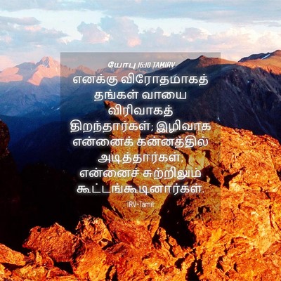 Picture 04 - யோபு 16:10 TAMIRV - எனக்கு விரோதமாகத் - Bible Verse Picture