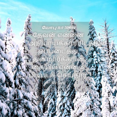 Picture 04 - யோபு 16:11 TAMIRV - தேவன் என்னை - Bible Verse Picture