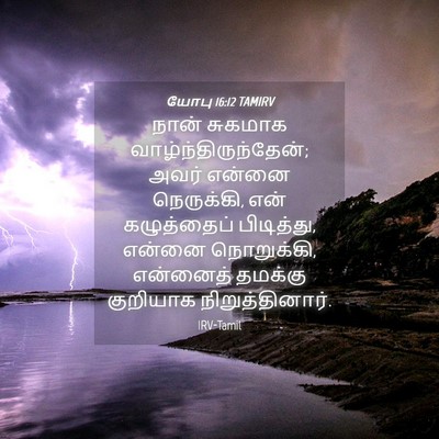 Picture 04 - யோபு 16:12 TAMIRV - நான் சுகமாக - Bible Verse Picture