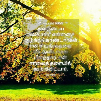 Picture 04 - யோபு 16:13 TAMIRV - அவருடைய வில்லாளர் - Bible Verse Picture