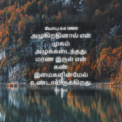 Picture 04 - யோபு 16:16 TAMIRV - அழுகிறதினால் என் - Bible Verse Picture