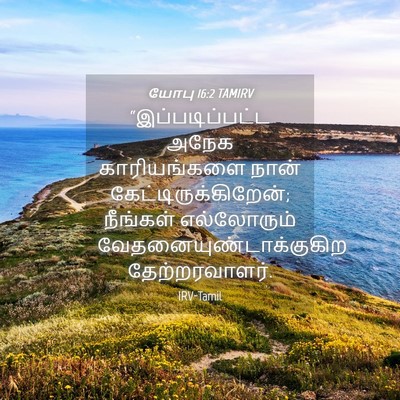 Picture 04 - யோபு 16:2 TAMIRV - “இப்படிப்பட்ட - Bible Verse Picture