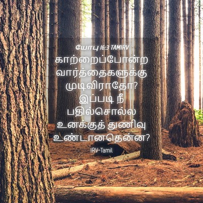 Picture 04 - யோபு 16:3 TAMIRV - காற்றைப்போன்ற - Bible Verse Picture