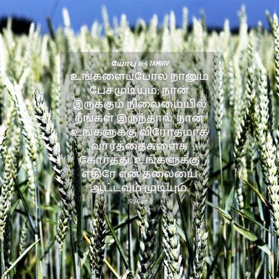 Picture 04 - யோபு 16:4 TAMIRV - உங்களைப்போல - Bible Verse Picture