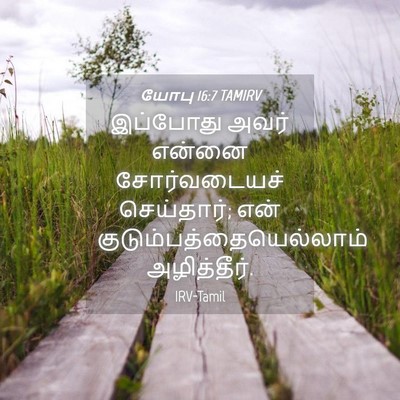 Picture 04 - யோபு 16:7 TAMIRV - இப்போது அவர் - Bible Verse Picture
