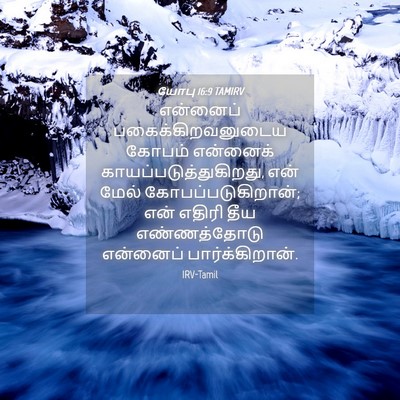 Picture 04 - யோபு 16:9 TAMIRV - என்னைப் - Bible Verse Picture