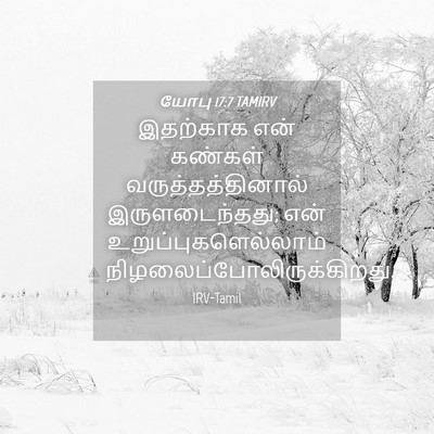 Picture 04 - யோபு 17:7 TAMIRV - இதற்காக என் - Bible Verse Picture