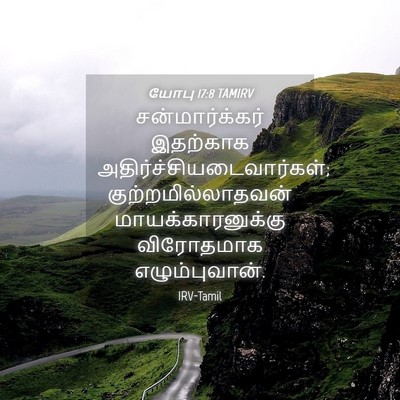 Picture 04 - யோபு 17:8 TAMIRV - சன்மார்க்கர் - Bible Verse Picture