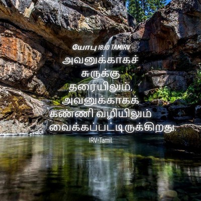 Picture 04 - யோபு 18:10 TAMIRV - அவனுக்காகச் - Bible Verse Picture